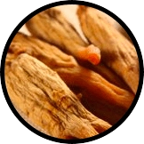Korean Red Ginseng Extract (Root)